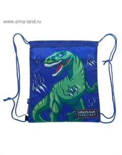 Мешок для обуви, 400×350 мм, SB-01, Dinosaur Yes