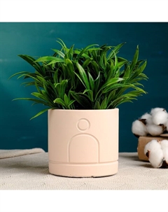 Декоративный горшок для цветов «Хедвиг», 10.5×10.5×9.7 см, керамический, бежевый Take it easy