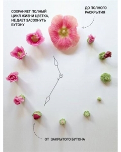 Удобрение для срезанных цветов «», 5 г, набор, 1000 шт. Срезка