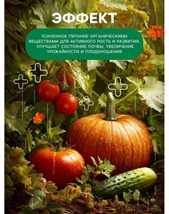 Органическое удобрение Конский навоз, экстракт, канистра, Ивановское, 3 л Фх ивановское