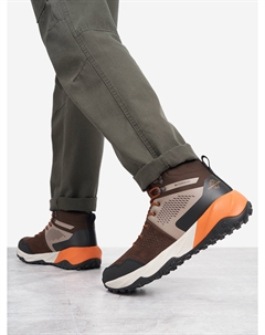 Ботинки мужские Caba Mid Wtr, Коричневый Cordillero