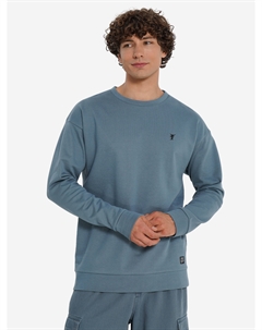 Свитшот мужской, Серый Термит