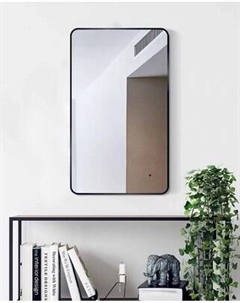 Зеркало Toppus Monaco 60х100 / 2911.023