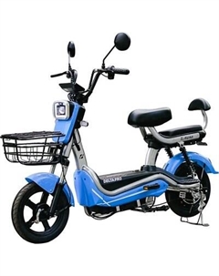 Электровелосипед DELTA Pro Delta