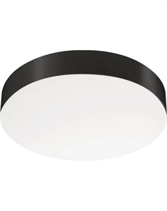 Потолочный светильник Arlight SP-FLOWER-R360-18W Day4000 BK 110deg / 049801