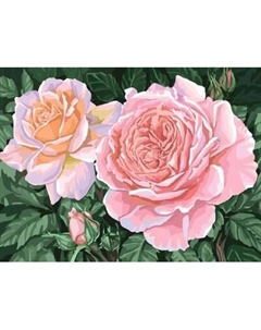 Набор алмазной вышивки Школа талантов Розы на кусте / 5498155