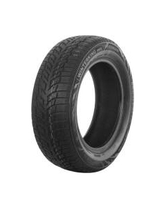 Зимняя шина DoubleStar DW08 225/55R16 95H Doublestar