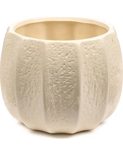 Горшок для цветов керамический 14*14*11см A181570 cream-2 No brand