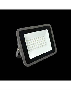 Прожектор светодиодный 50Вт 6500K IP66 серый 13115 Truenergy