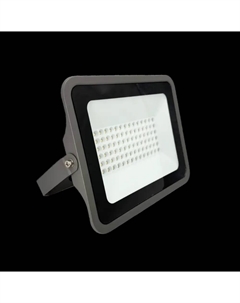 Прожектор светодиодный 100Вт 6500K IP66 серый 13116 Truenergy