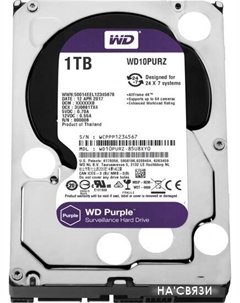 Жесткий диск Purple 1TB [10PURZ] Wd
