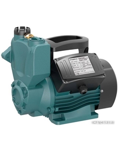 Самовсасывающий насос AS600 Grandfar