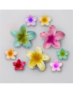 Заколка крабик аксессуар для волос цветок подарочный набор крабов Zikolki store