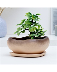 Горшок для кактусов и суккулентов «Бонсай», 600 мл, 17×14×8 см, керамический, с поддоном, бежевый Хорошие сувениры