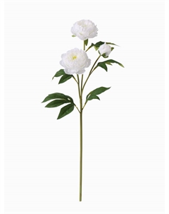 Цветы искусственные «Пион Беверли люкс», h=60 см, белые Poetry in flowers