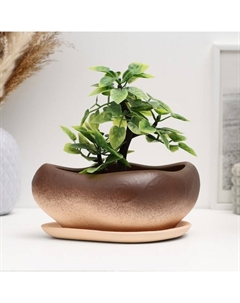 Горшок для кактусов и суккулентов «Бонсай», 600 мл, 17×14×8 см, керамический, с поддоном, коричневый Хорошие сувениры