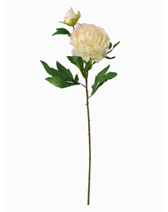 Цветы искусственные «Пион дуо», 12×60 см, белые Poetry in flowers