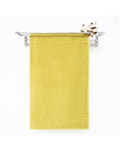 Полотенце махровое с бордюром 70х140 см,PALM, хлопок 100%, 430г/м2 Vs текстиль