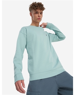 Свитшот мужской, Голубой Термит