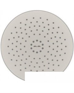 Верхний душ F0580000 Am.pm