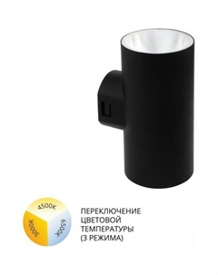 Фасадный светильник Alcyone A6109AL-2BK Arte lamp
