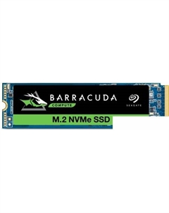 SSD BarraCuda 510 256GB ZP256CM30041 Seagate