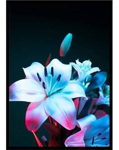 Постер Citydecor Цветы 10