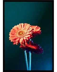 Постер Citydecor Цветы 1