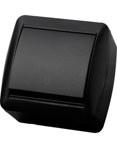 Выключатель TDM Селигер / SQ1818-0311 (графит) Tdm