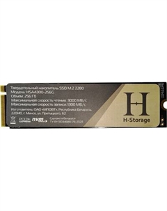 SSD диск Horizont H Storage / HSA4300-256G