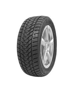 Зимняя шина Delinte Winter WD1 205/65R16 95T