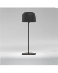 Светильник уличный Elektrostandard Bitty TL70260