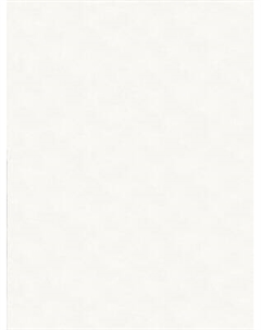 Виниловые обои Аспект 70655-10