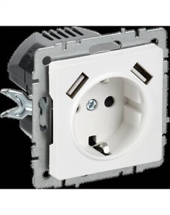 Розетка IEK Brite BR-R14-16-U21-D31-K91 Iek