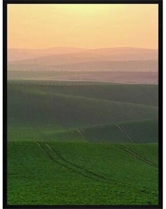 Постер Citydecor Природа 4