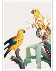 Постер Citydecor Попугайчики 1