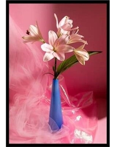 Постер Citydecor Цветы 2