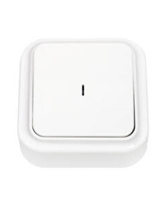 Выключатель Bylectrica Пралеска А1 10-214