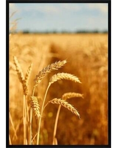 Постер Citydecor Природа 7