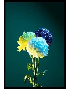 Постер Citydecor Цветы 11