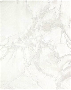 Виниловые обои SOLO 588400 Solo