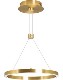 Потолочный светильник Arlight SP-CONGO-CAN-1-R400-24W Warm3000 GD 120deg / 046209