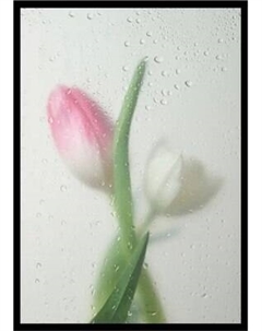 Постер Citydecor Цветы 9