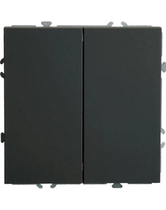 Выключатель Stekker Эмили RSW10-5104-05ZK / 50247