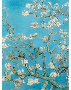 Постер Citydecor Цветущие ветки миндаля. Винсент ван Гог