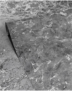 Обои винил на флиз осн Фаен 24ВТР3 к-23 1,06х10,05м лофт Гомельобои