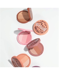 Румяна для лица Artclass By Rodin Blusher De Ginger Too cool for school