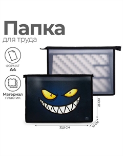 Папка для труда, А4, пластиковая, 32.5×23×10 см «Глаза» Calligrata