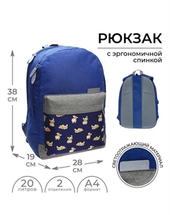 Рюкзак молодёжный, 38×28×19 см, эргономичная спинка, Э «Корги» Calligrata