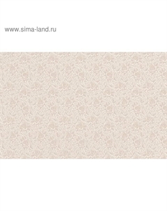 Обои виниловые на флизелине Ева-62 СБ54ок, 1,06х10м Белвинил